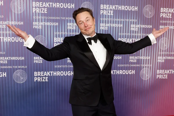 Musk xAI projektje újrakezdés előtt áll