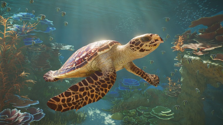 Planet Zoo 2 víz alatti akvárium és korallzátony tengeri élőlényekkel
