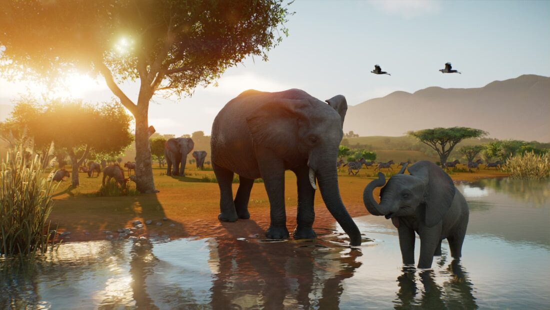Planet Zoo 2 bemutató: érkeznek a vadrezervátumok és a tengeri akváriumok