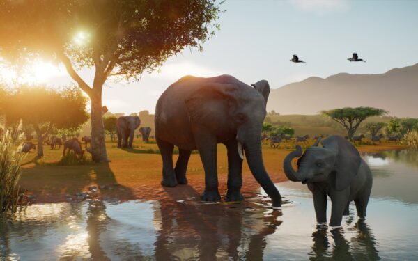 Planet Zoo 2 bemutató: érkeznek a vadrezervátumok és a tengeri akváriumok