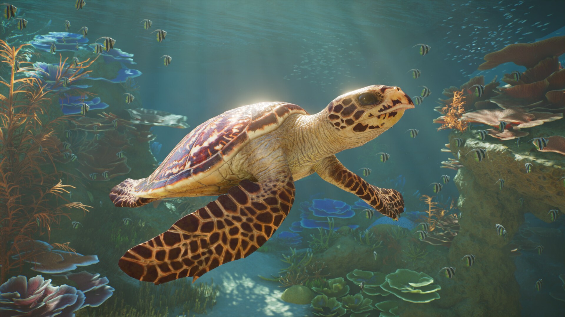 Karettteknős egy Planet Zoo 2-beli akváriumban