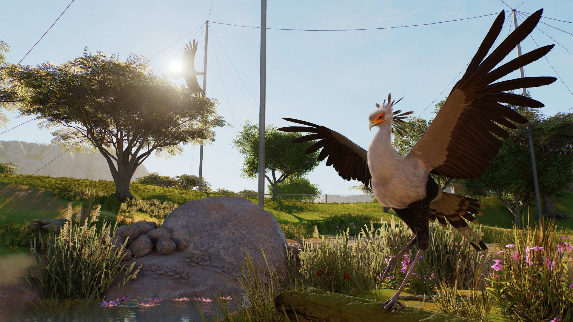 Repülő madár a Planet Zoo 2-ben